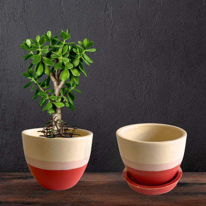 Ceramic Red Colour Pot Home, Indoor Décor & Gifting