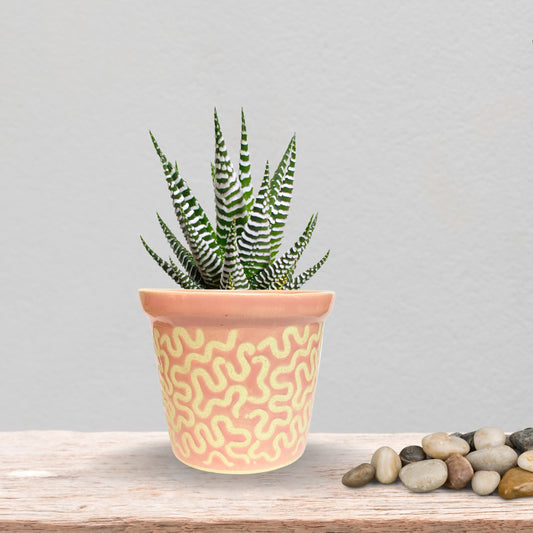 Ceramic Pink Colour Pot Home, Indoor Décor & Gifting