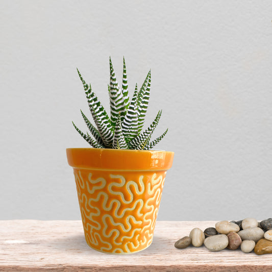 Ceramic Orange Colour Pot Home, Indoor Décor & Gifting
