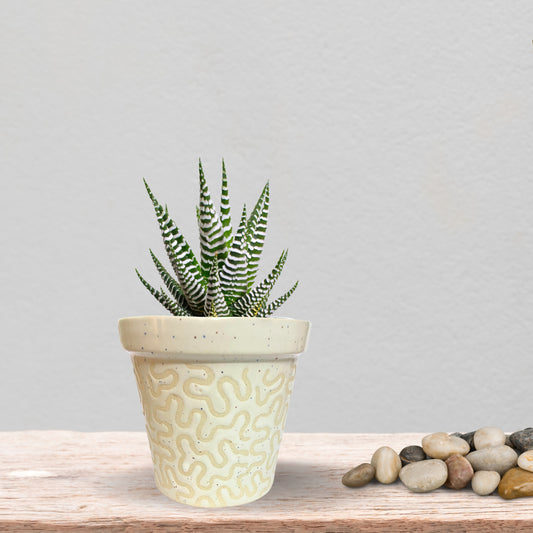 Ceramic White Colour Pot Home, Indoor Décor & Gifting