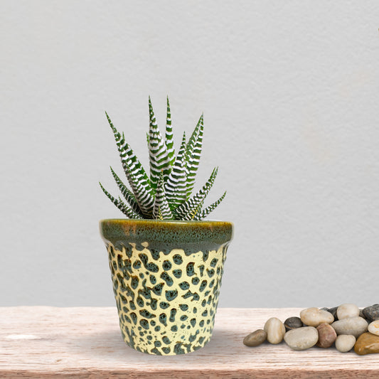 Ceramic Green Colour Pot Home, Indoor Décor & Gifting