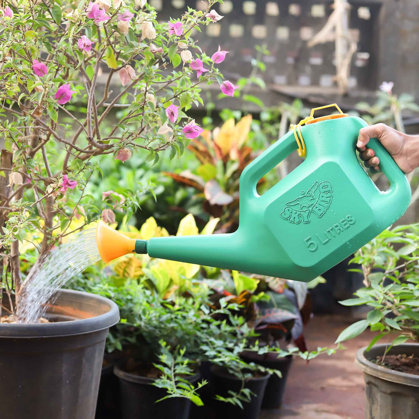 Green Colour Watering Can ( 5 Liter)