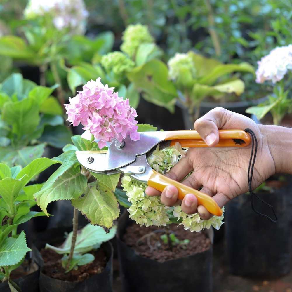 Roll Cut Pruning Secateurs For Gardening