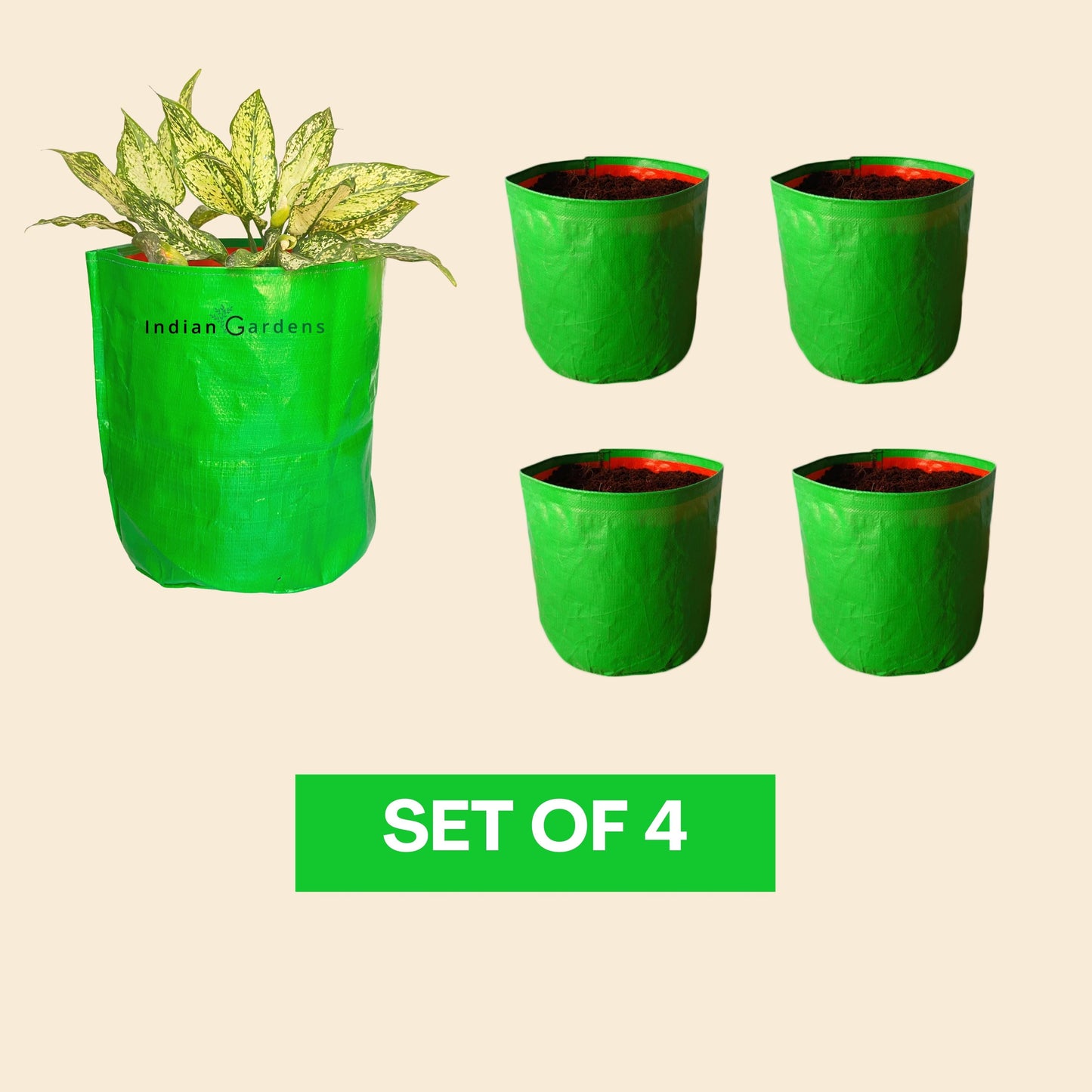 Grow Bags Set of 4